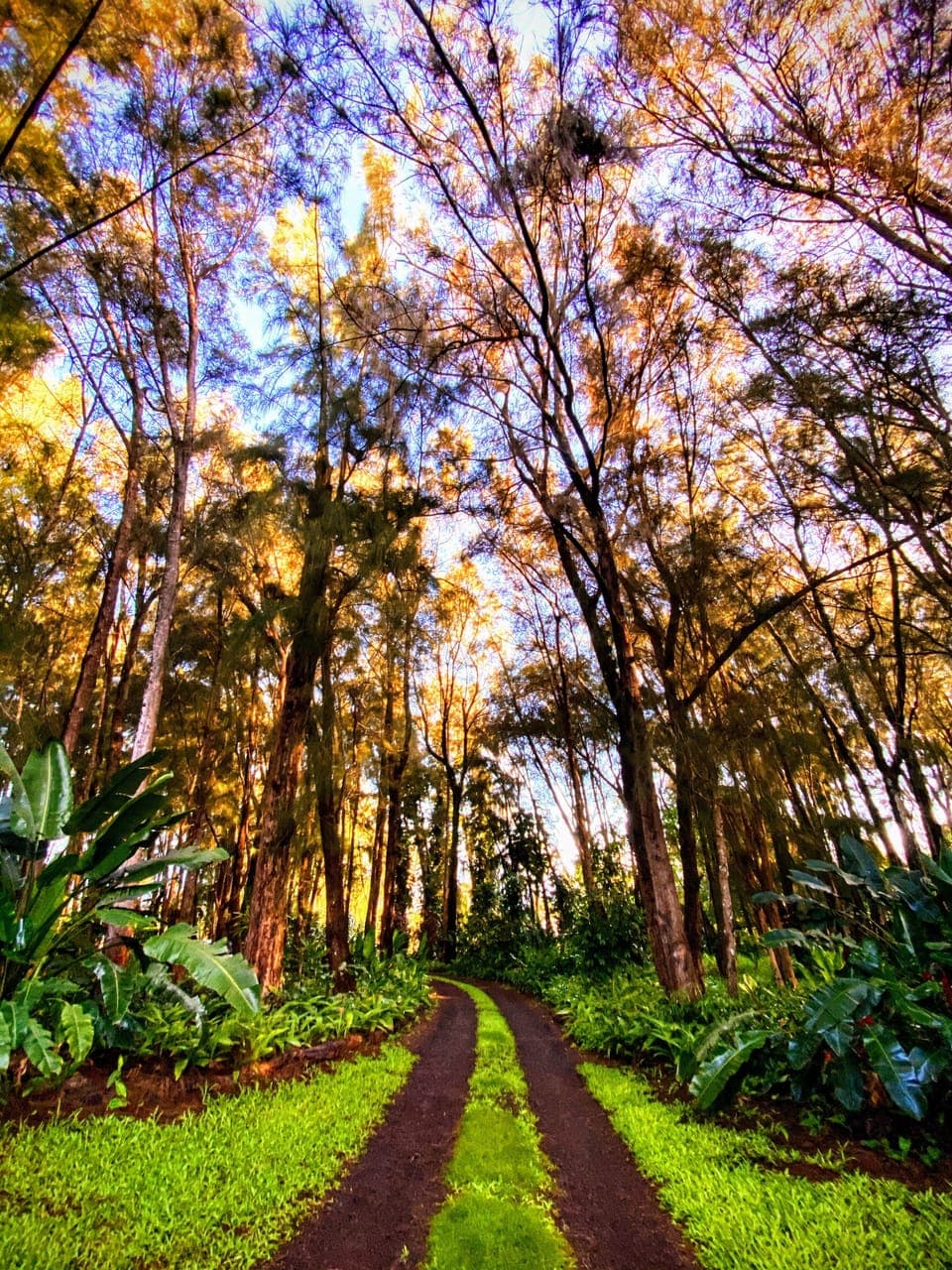 🌺 Welcome to Always in Season. 
The driveway to your accommodations.