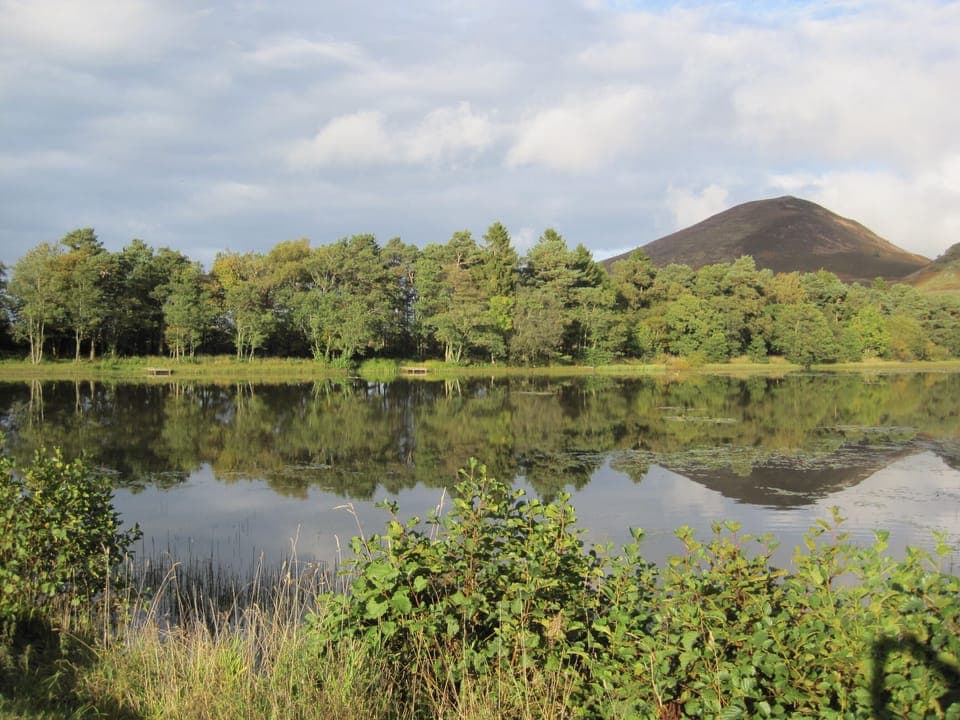 View near the cottage