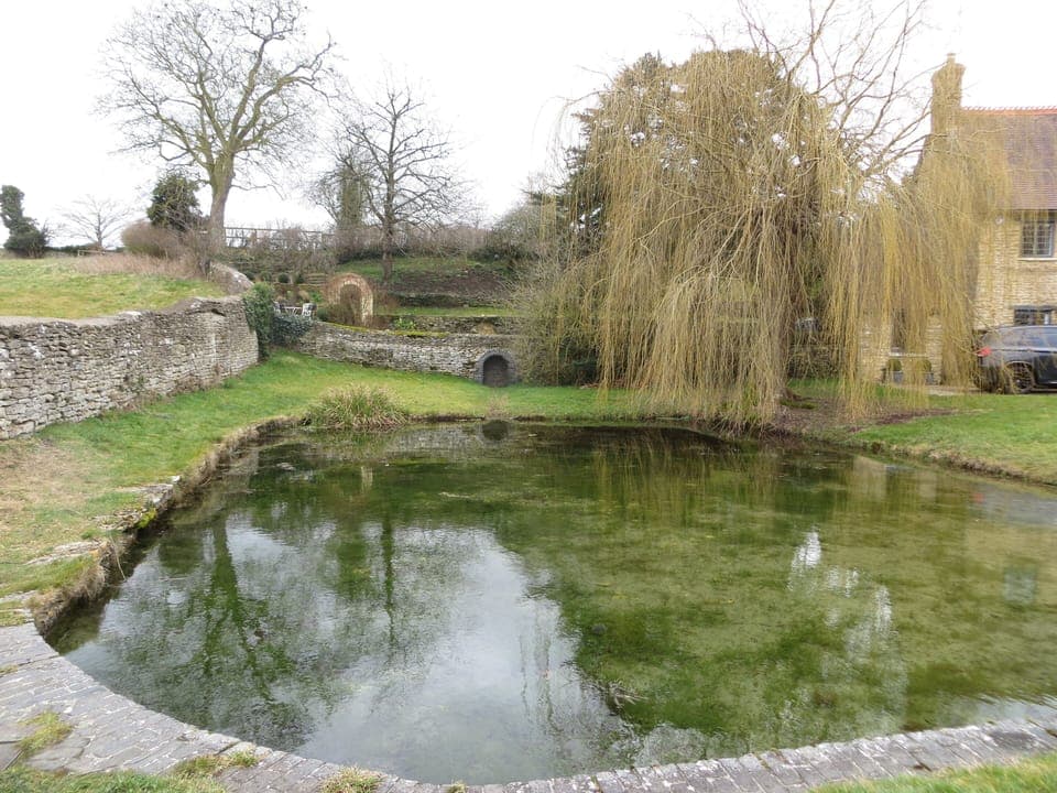 Village pond