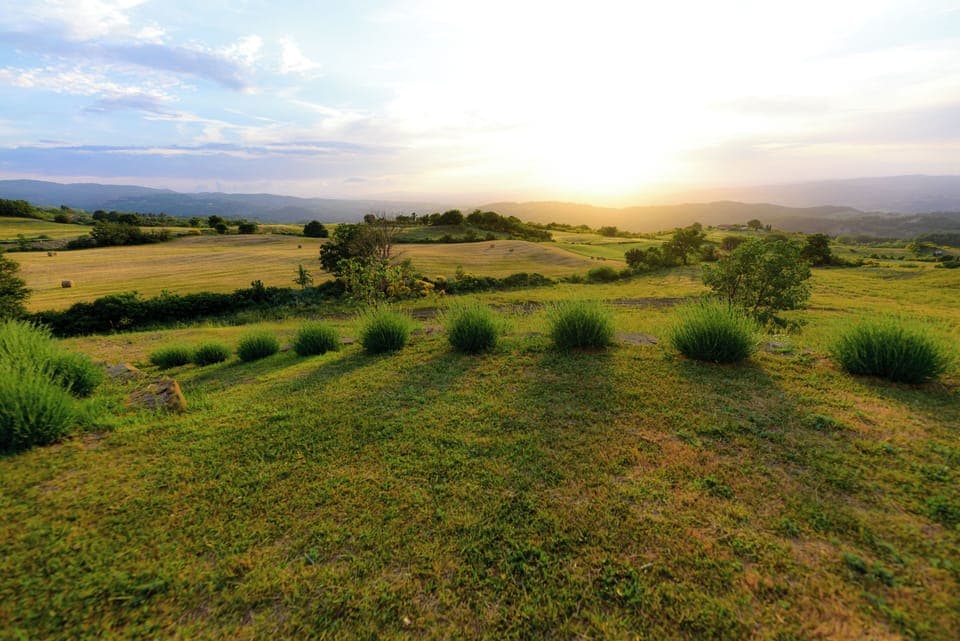 Land view from property