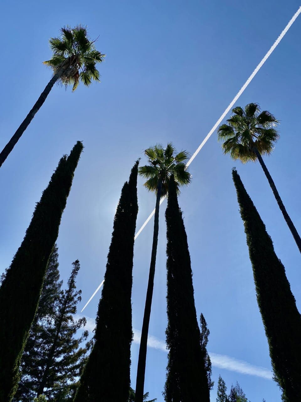 The corner of the property