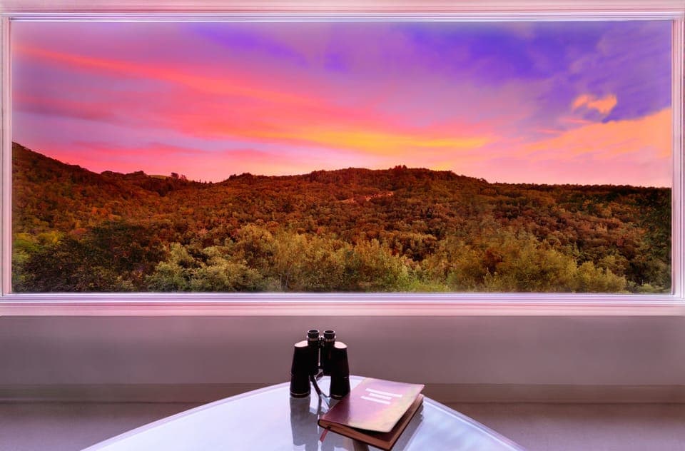 Living room’s 12’ picture window view--like a movie theater screen of nature.
