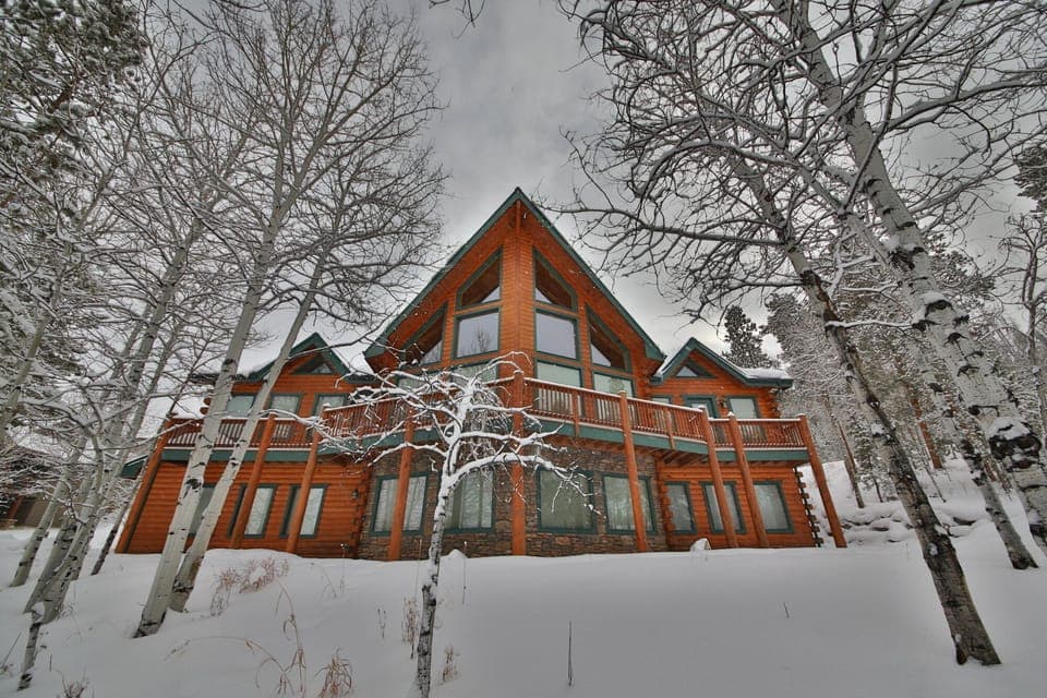 Aspen Grove in the winter.