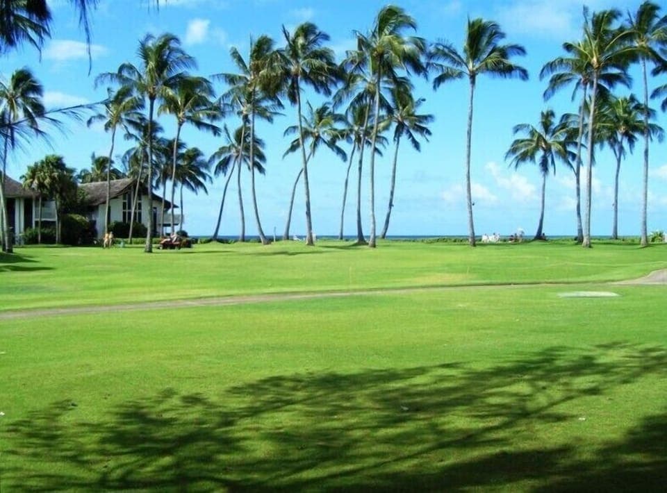 There are large grassy areas throughout the resort.  Great for tossing a ball!