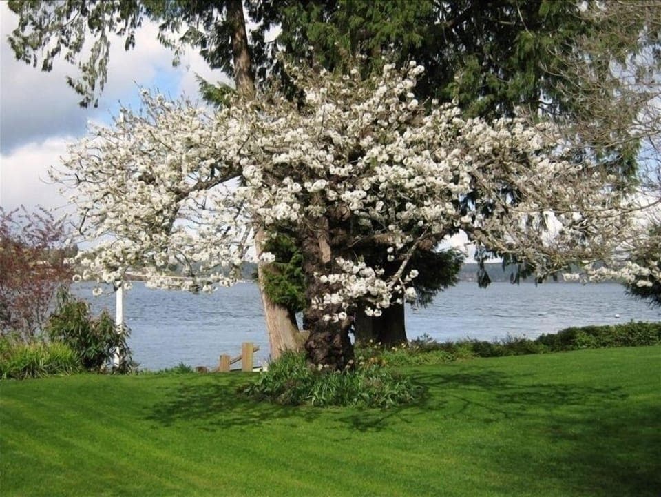 view to the north from the master bedroom
