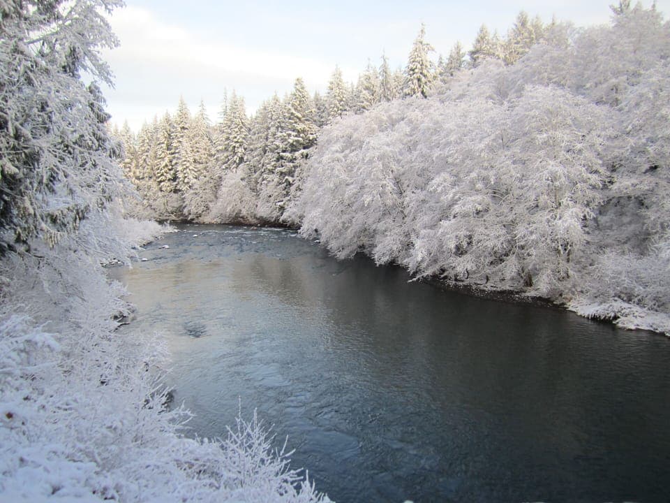 The Sol Duc on a snowy day
