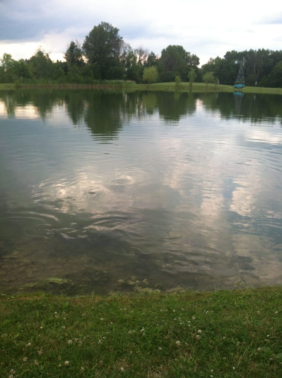 Pond at winery
