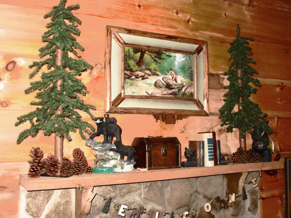 Wood burning fireplace