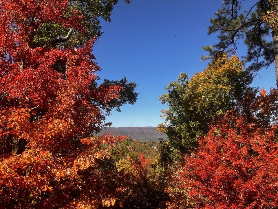 View from back deck in fall. Taken October 2022.