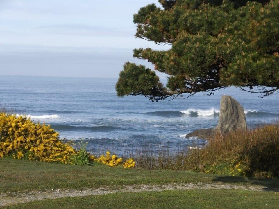 Ocean across from the house