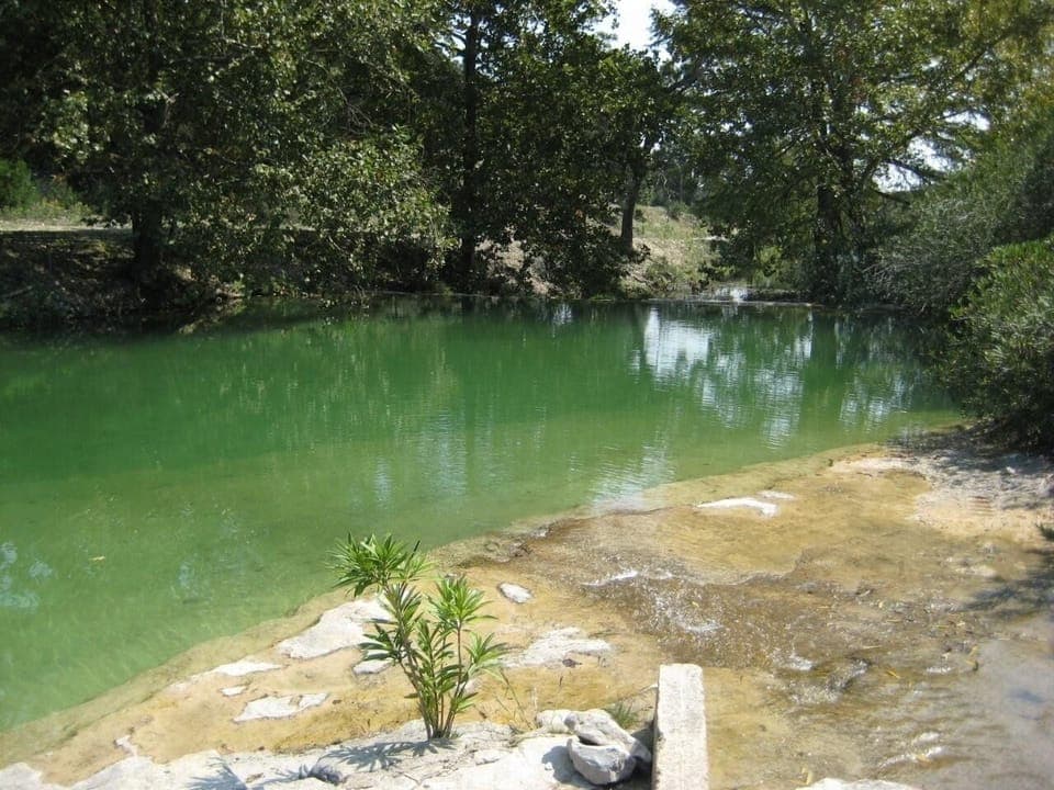 Beautiful Spring Fed Pool with Constant Water Level