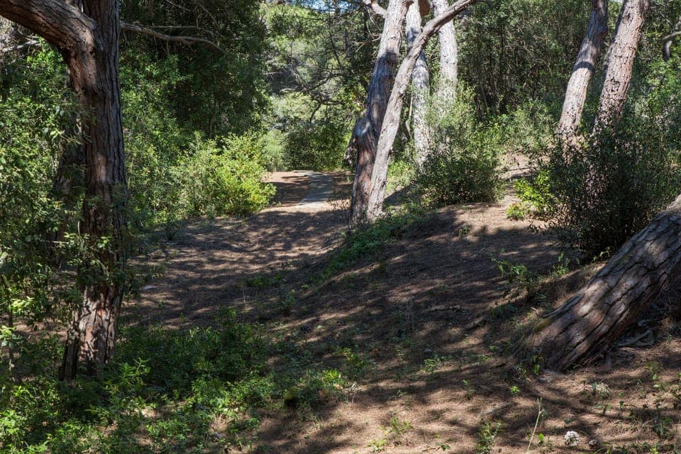 The private path to the beach.