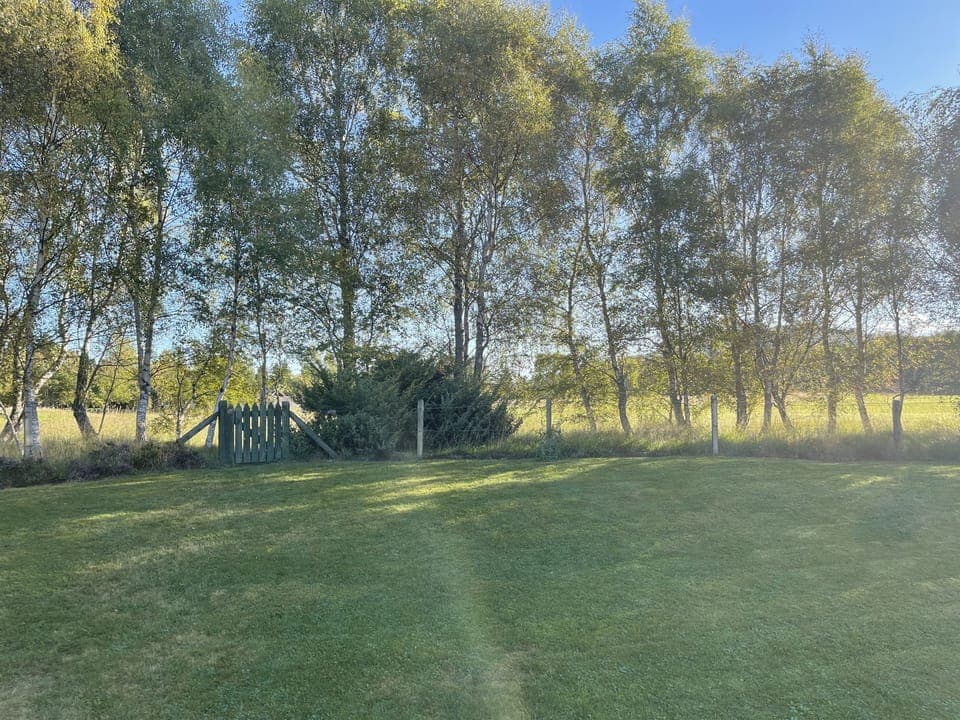 Stunning back garden