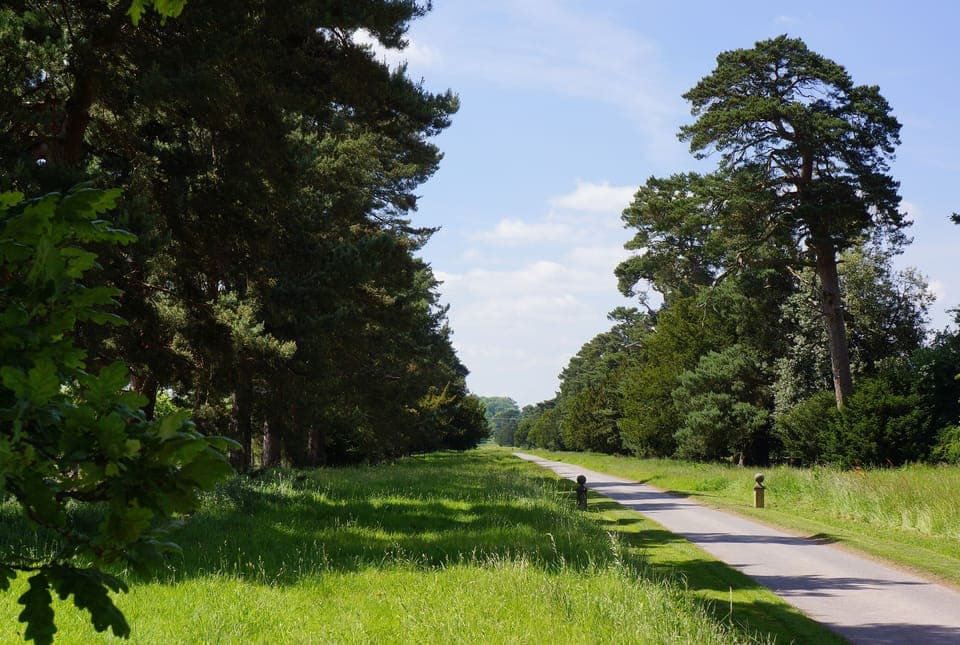 The magnificent Monnington Walk where guests walk, jog or cycle or birdwatch