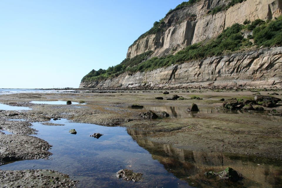 Rock Pools on Shanklins Appley Beach