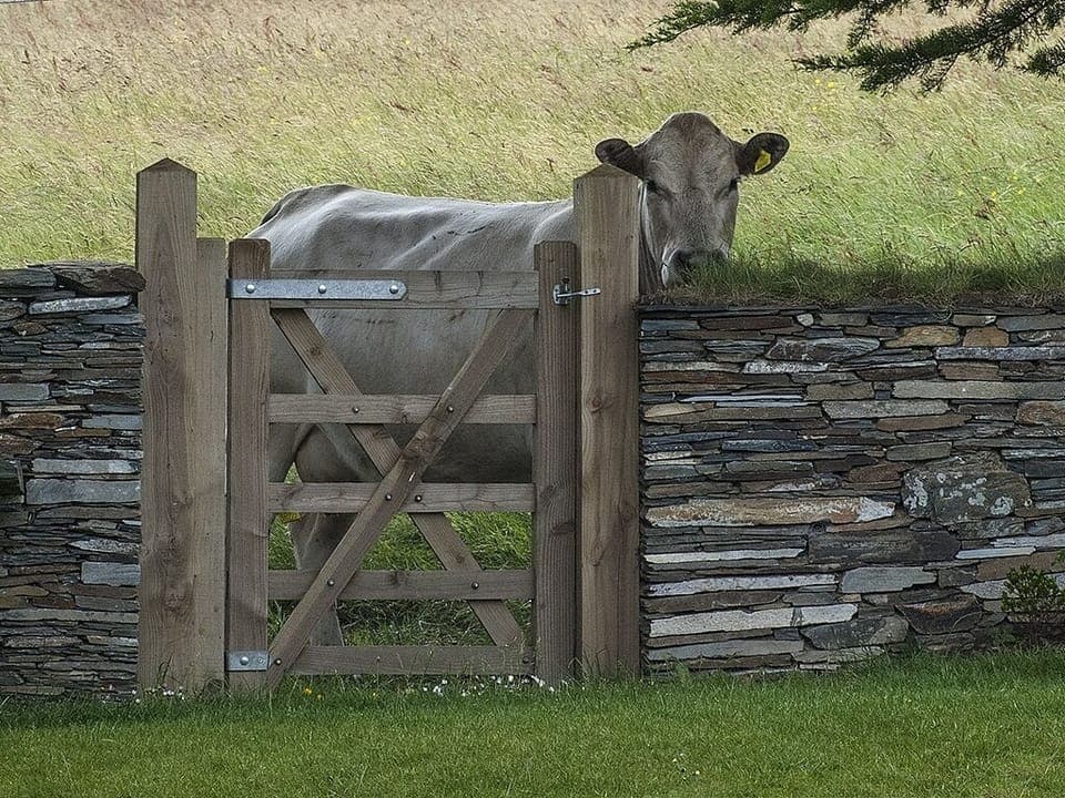 The back garden gate looks out onto open fields