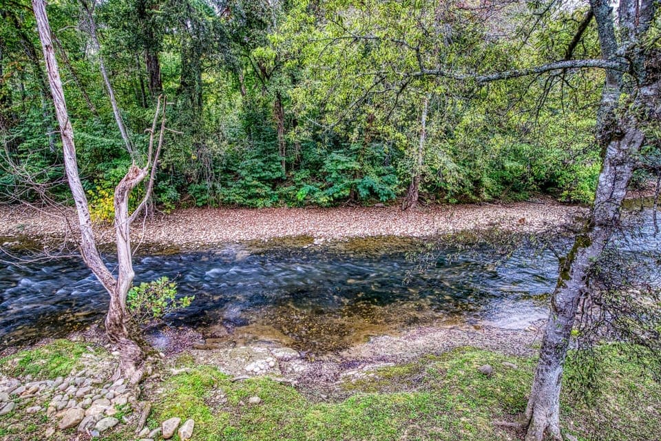Pigeon Forge Vacation Rental "Henderson's Riverside" - The Little Pigeon River