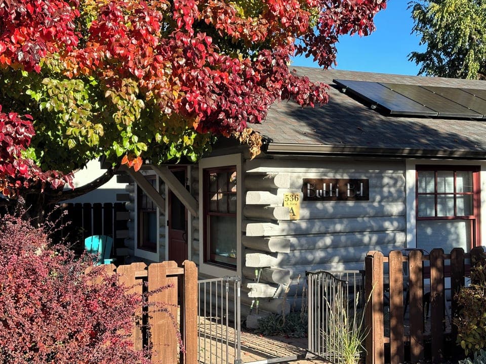 BubbiBel's Cabin