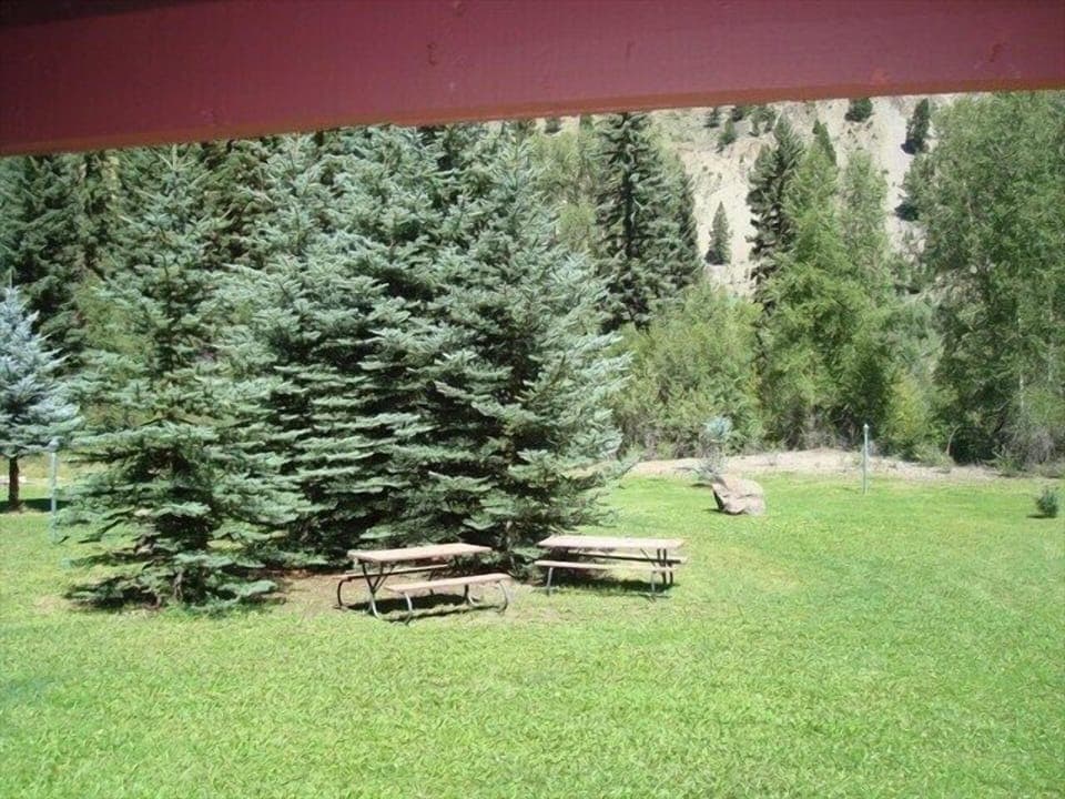 View from Deck