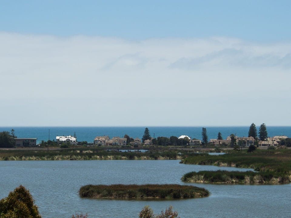 Buena Vista Lagoon near Carlsbad Village. (This is not the apartment view)