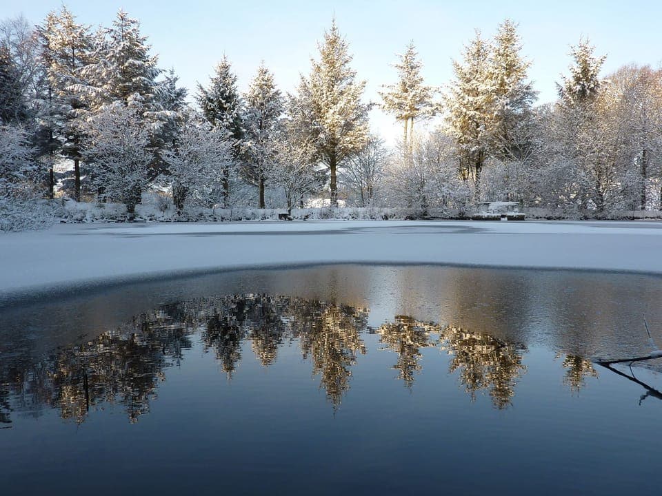 The lake through the seasons.