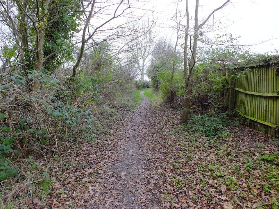 Doggy walking track adjacent to Chalet.