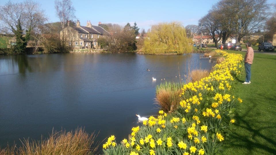 Grewelthorpe village duck pond