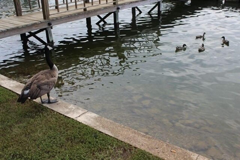 Stopped by to have my picture
taken