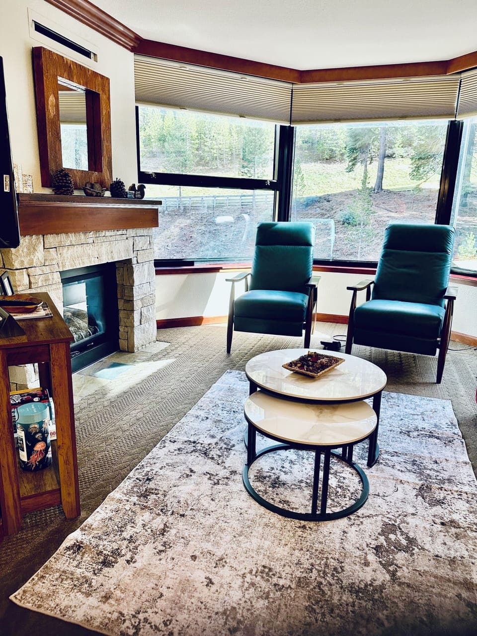 Living room newly furnished, plus blackout honeycomb shades, Nov. 2025