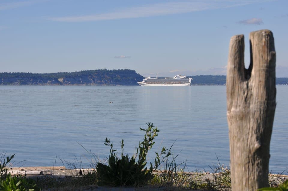 Watch the cruise boats heading to Alaska.