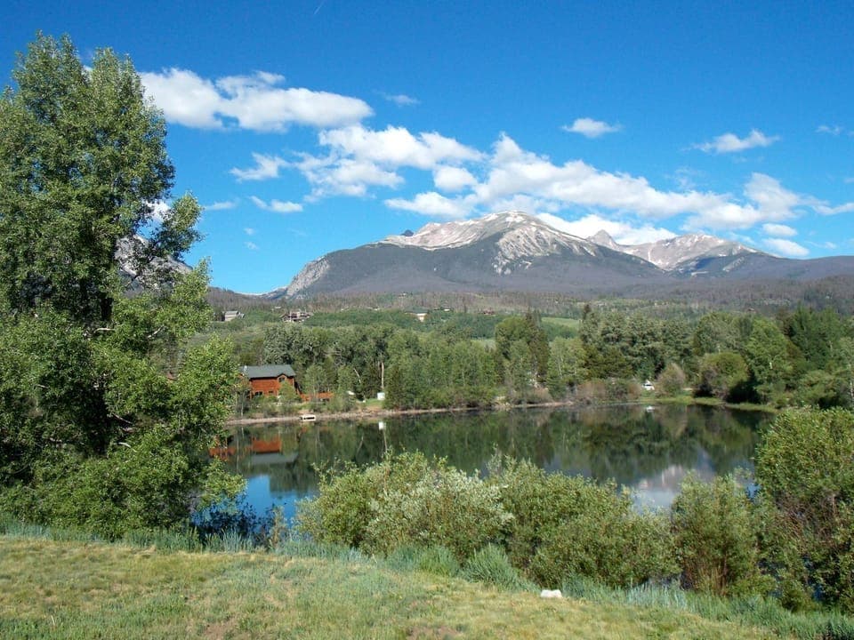 Summer View from the back of the house.