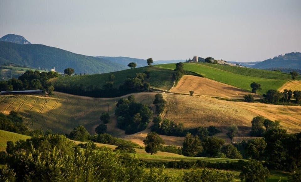 Aliforni countryside view