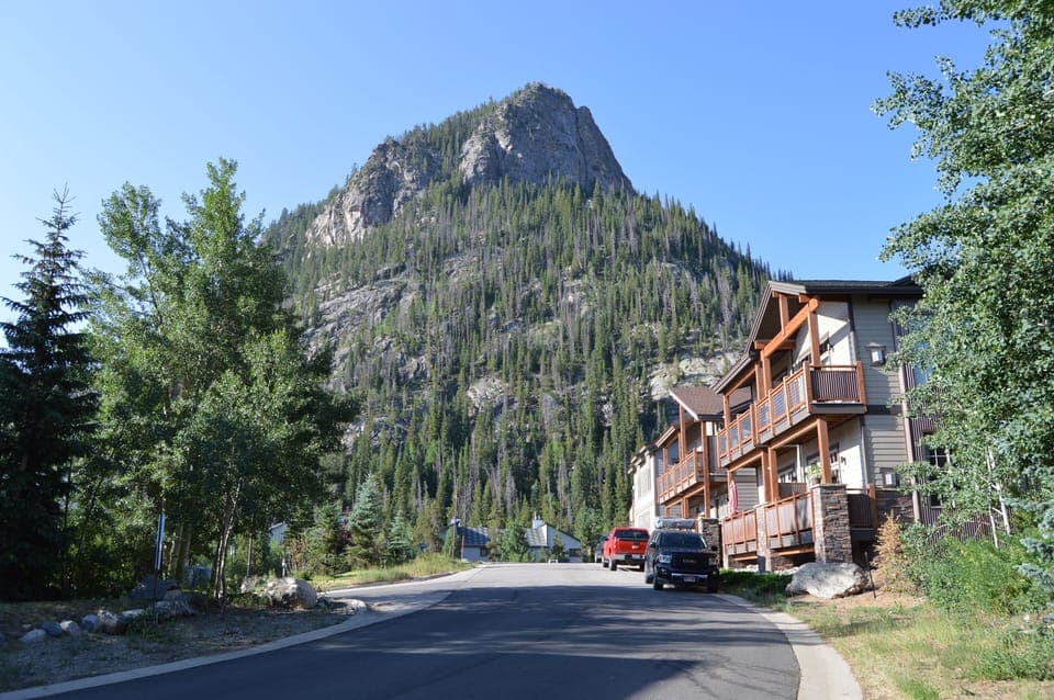 Mount Royal from the front of the building. You can hike to the top! 