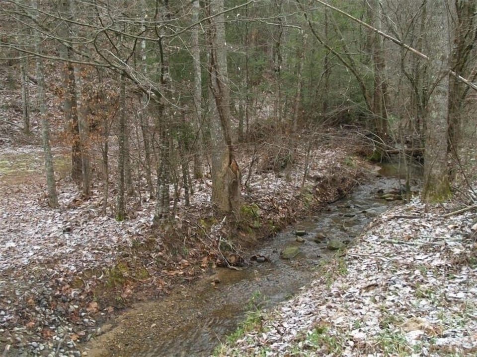 Mountain Stream runs in front of the cabin.. relax listening the sound 