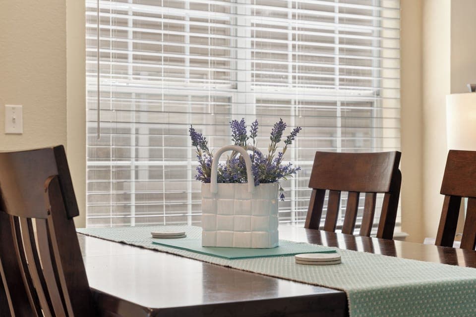 So much natural light!!