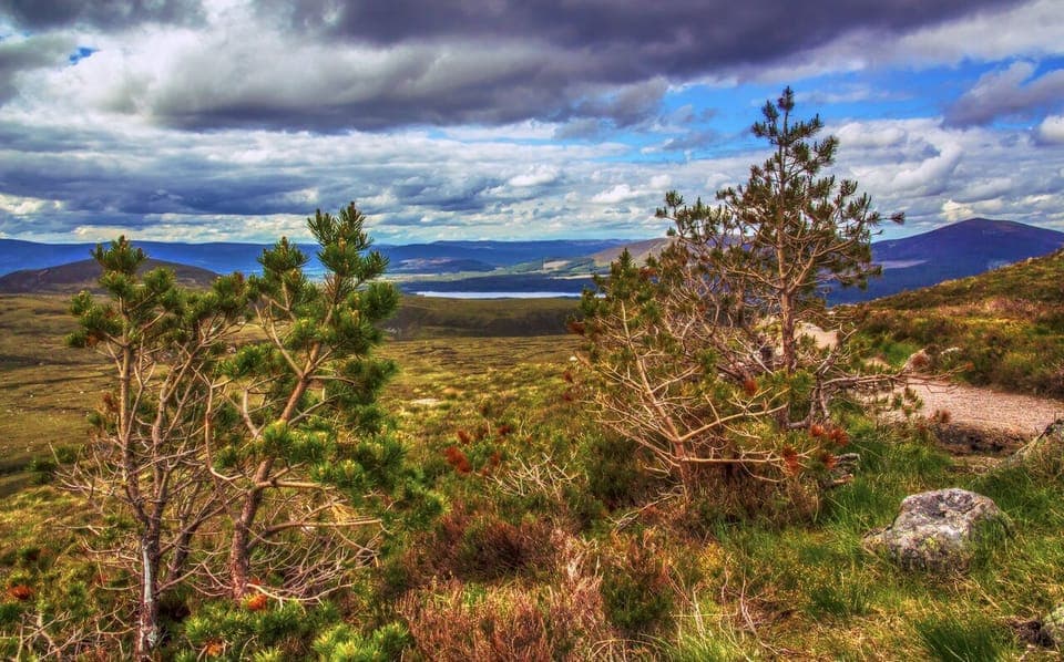 Cairngorms national park