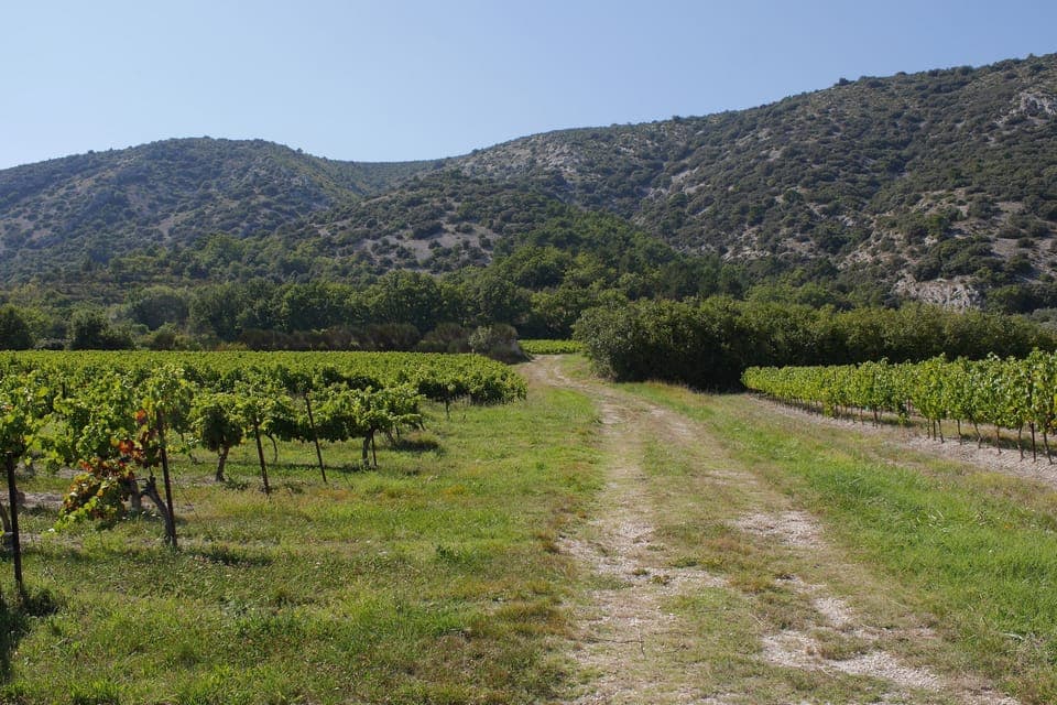 Direct access to nature walks and mountain biking