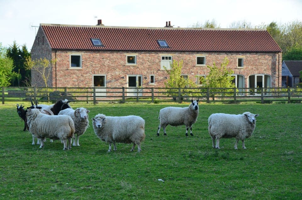 View of Barn from our Paddocks