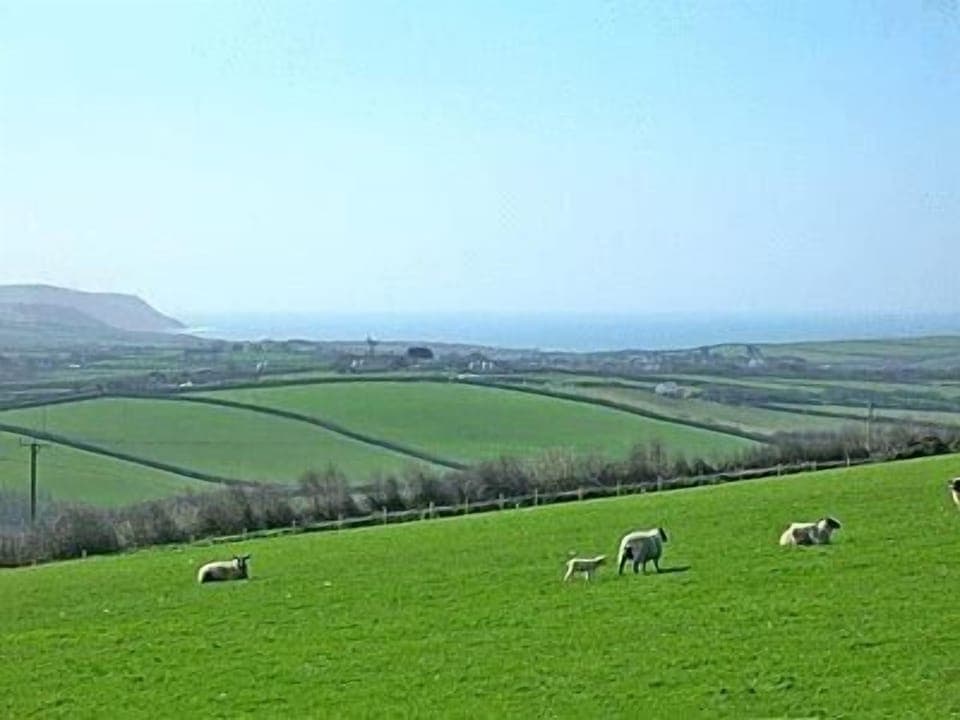 View to Widemouth Bay