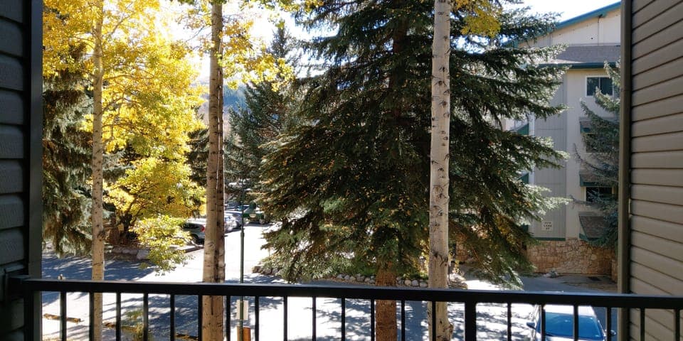 View from balcony