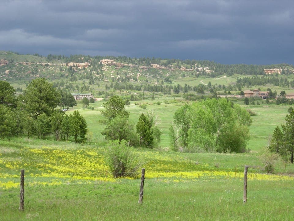 Vista 