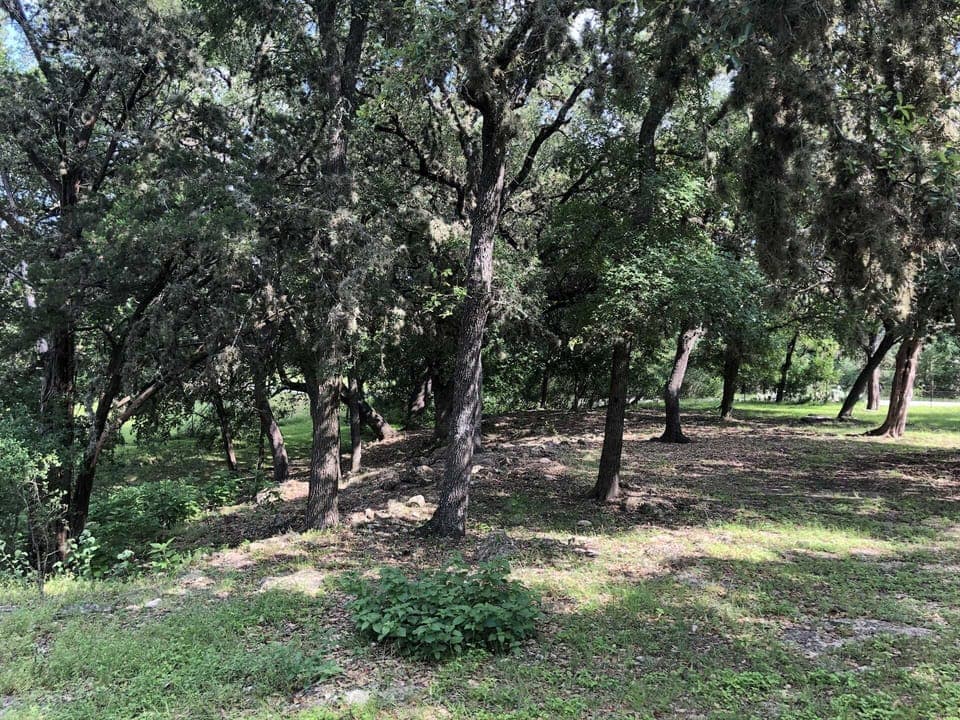 Nothing on the schedule? Sometimes a lazy, shady spot is just the ticket!