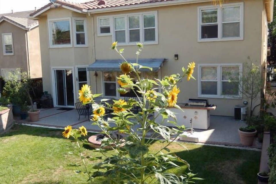 Rear View of the house with a beautiful backyard