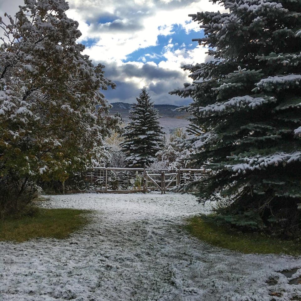 Early Fall/Winter view to garden area.