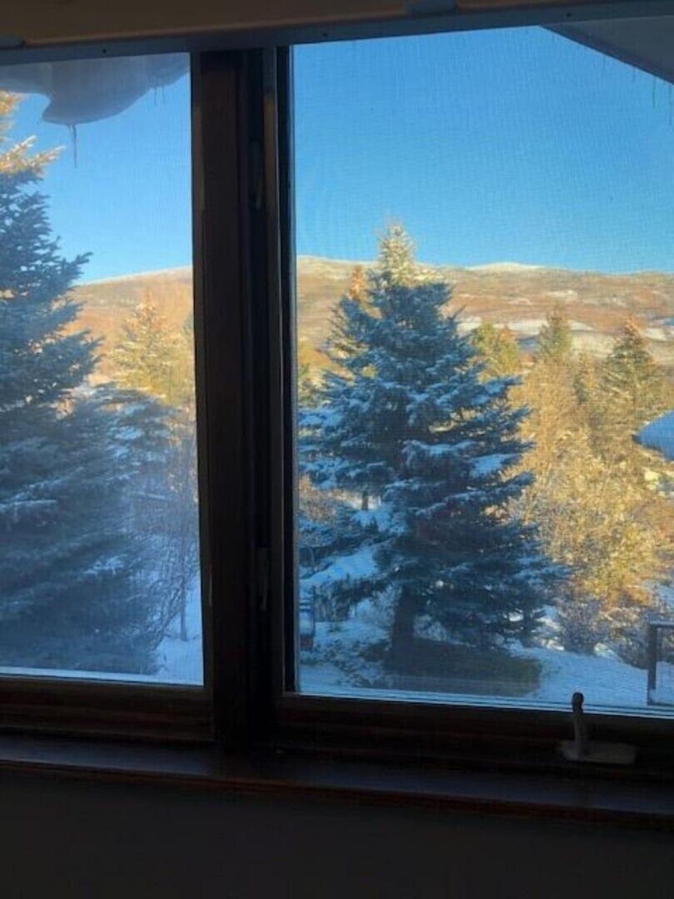 Winter view from Master bedroom.