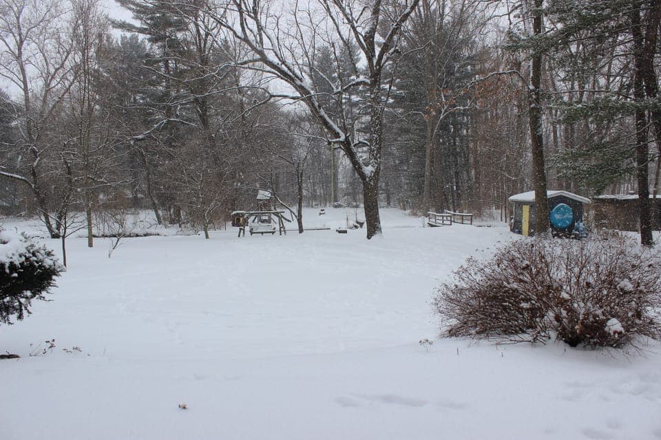 Backyard view in winter