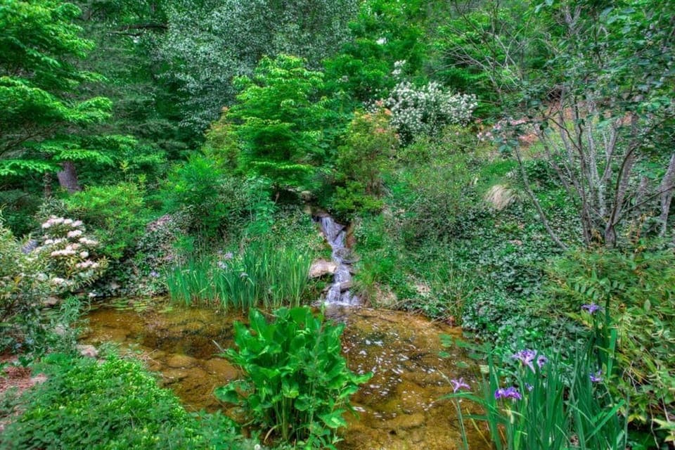 Tranquil outdoor pond with waterfall