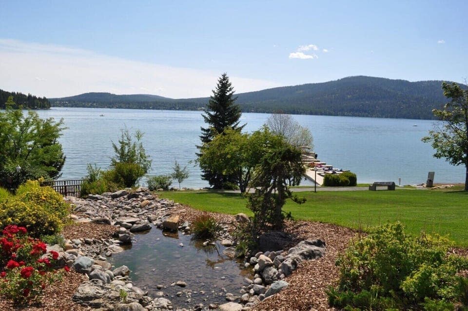 Walking path to the lake