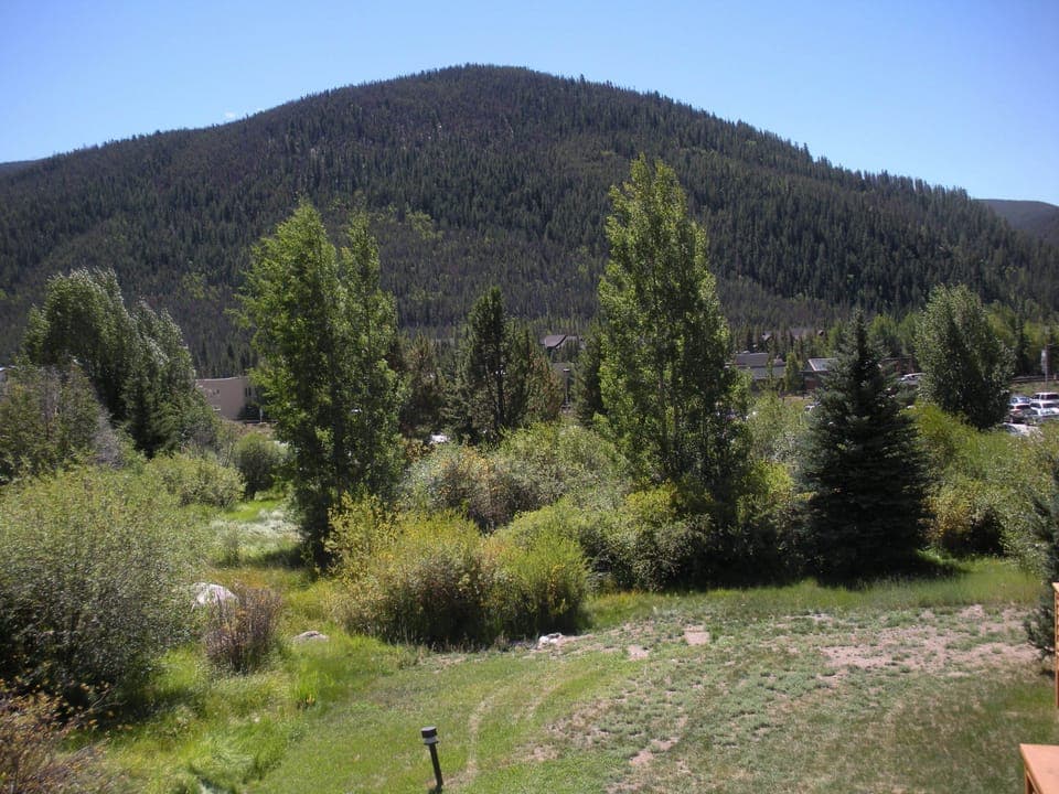 Meadow view from 1334 Tennis Deck
