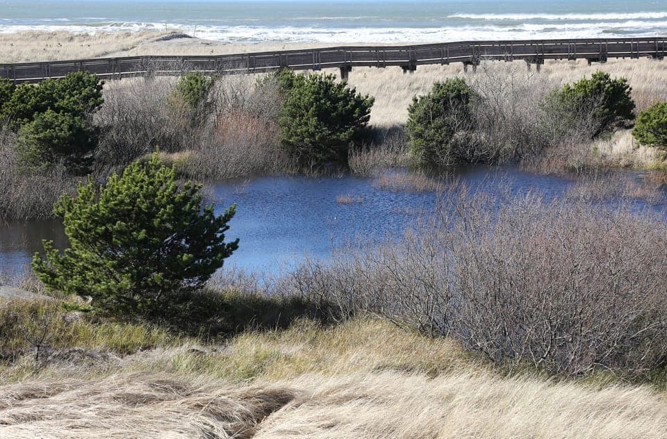On property pond with abounding wild life!